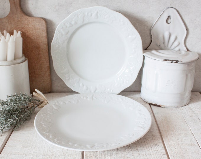 Plat à Escargots Vintage Le Creuset – 12 Alvéoles, Fonte émaillée