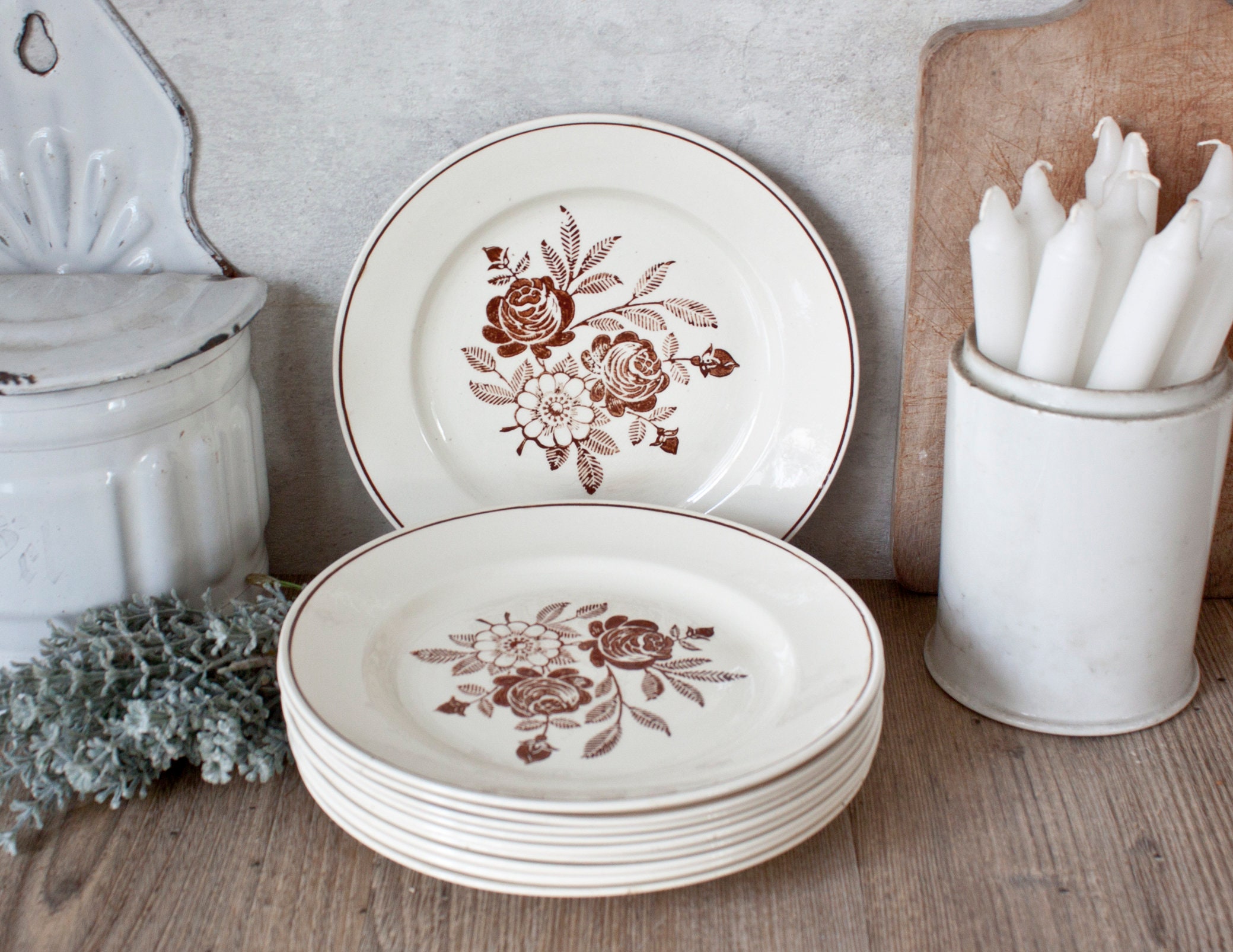 Ensemble de 10 Belles Assiettes Anciennes à Dessert Fleurs Sépia