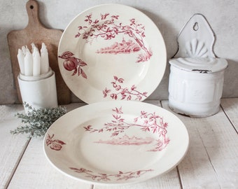 May include: Two vintage white ceramic soup bowls with a pink floral design. The bowls have a raised rim and a scalloped edge. The floral design features pink flowers and leaves on a white background.