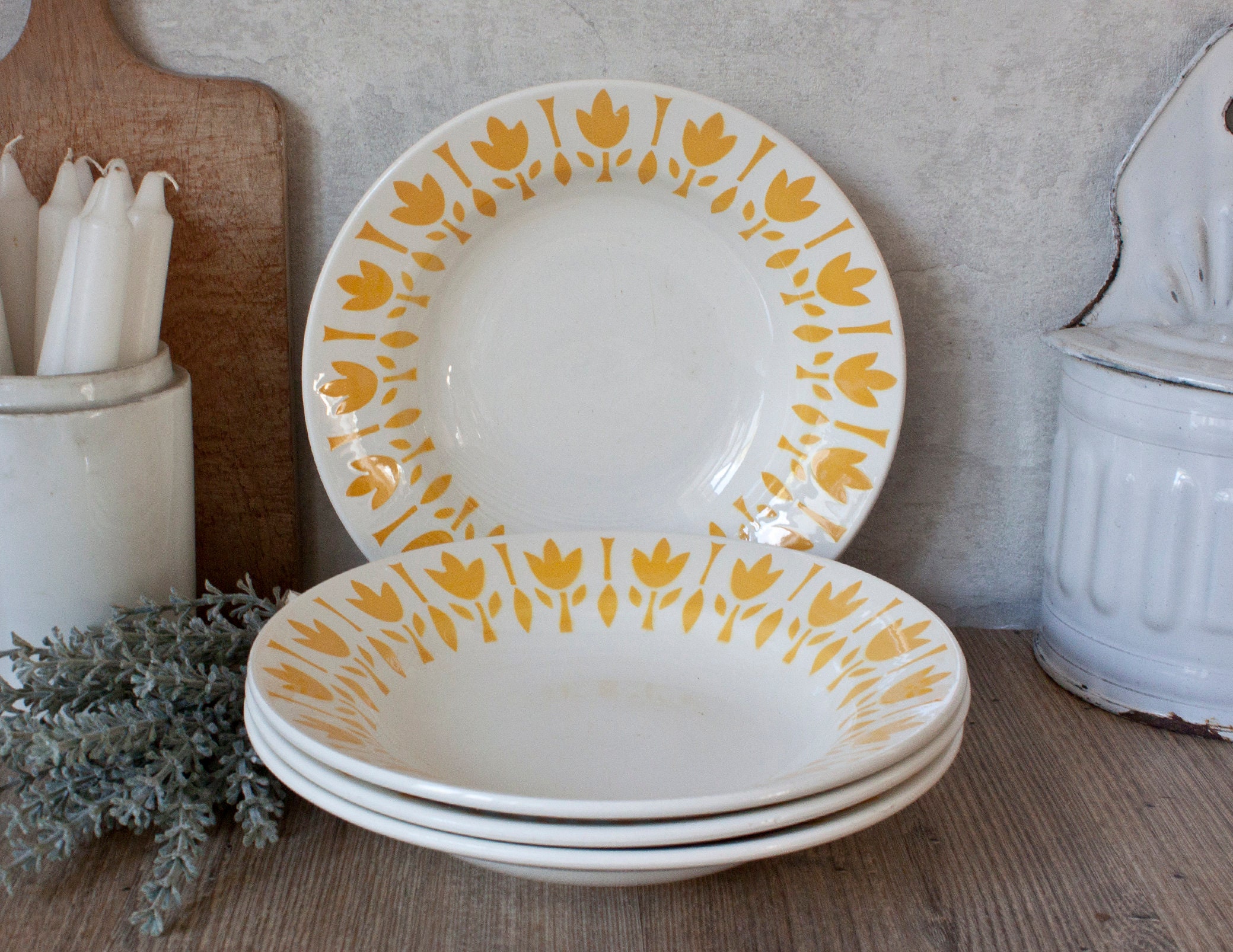 Ensemble de 4 Belles Assiettes Creuses Anciennes Digoin Sarreguemines en Terre Fer