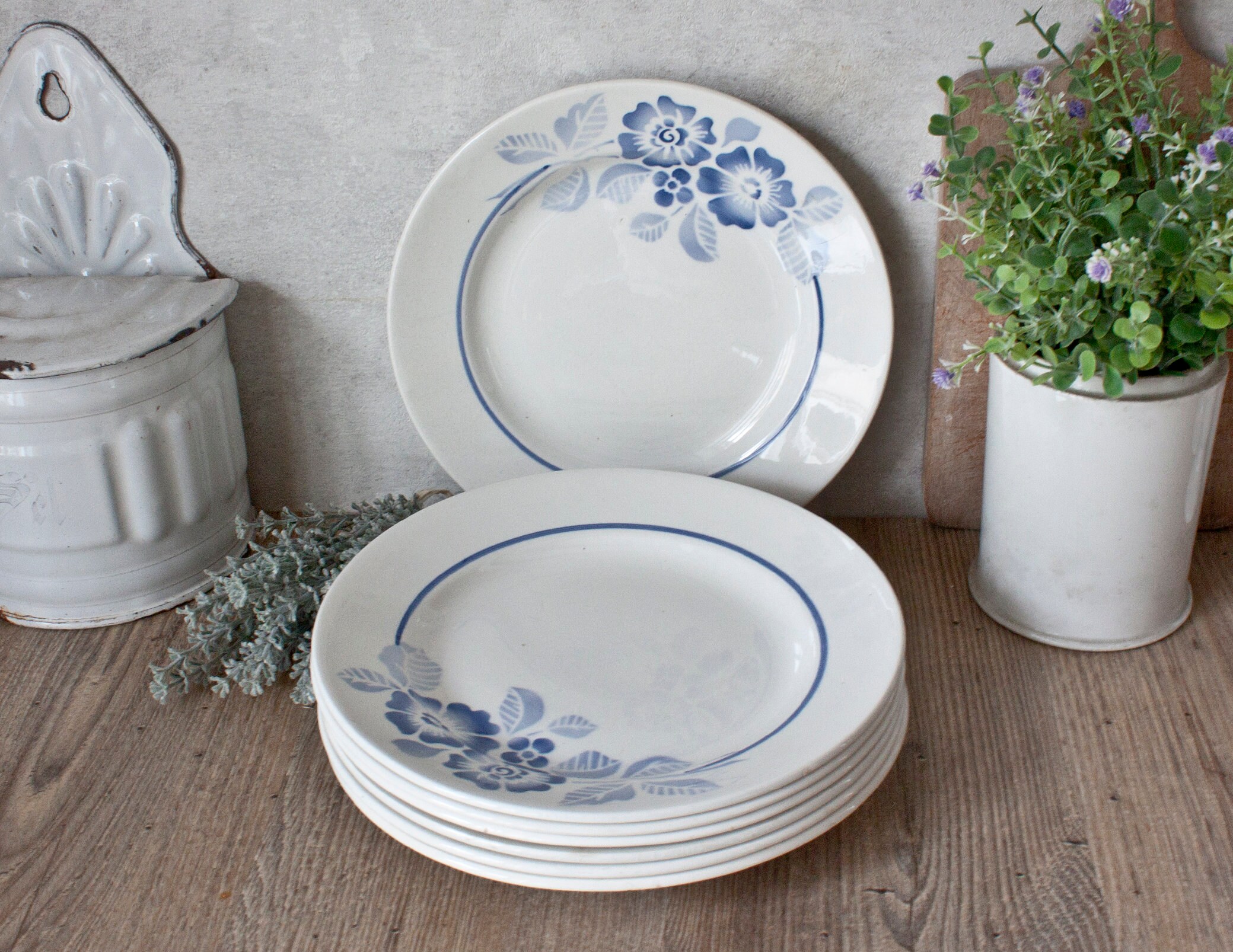 Ensemble de 7 Belles Assiettes Sarreguemines Anciennes en Terre Fer, Décor Floral Bleu