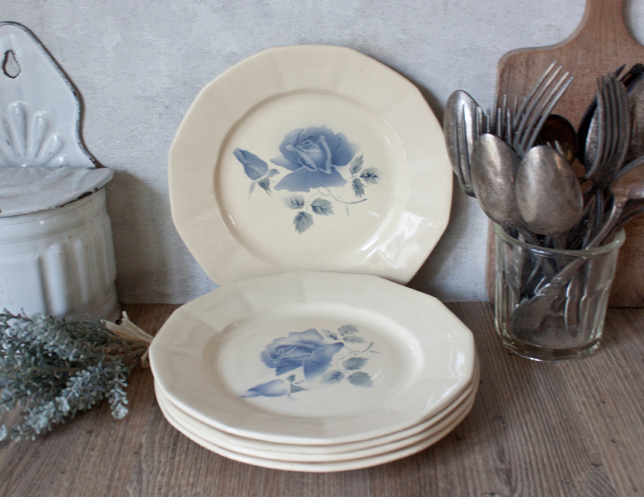 Ensemble de 5 Belles Assiettes Digoin Sarreguemines Anciennes en Terre Fer, Décor Floral Bleu