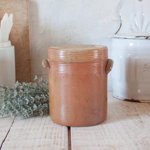 Peut inclure: Un pot de conservation cylindrique en terre cuite avec un couvercle assorti et deux petites anses latérales. Le pot présente une finition brun chaud et lisse avec des détails nervurés horizontaux subtils sur le bord supérieur et le couvercle.