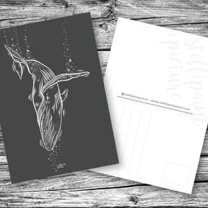 Postcard Whale