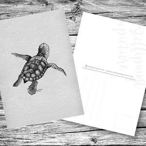 Ansichtkaart schildpad