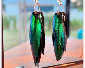 Pendientes de alas de escarabajo - Joyería de escarabajo iridiscente - Pendientes sin níquel - Regalo para amantes de los insectos - Bichos para lucir