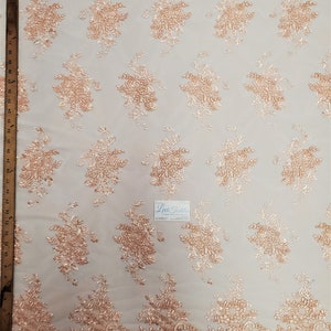 Blush Peach "The Ozzy Lace" Bloemen Borduurwerk w Cording op Mesh Lace Fabric Verkocht BTY - Wedding Prom Gown Lace Double Scalloped (#13-002)