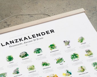Pflanzkalender und Aussaatkalender, Voranzucht, Aussaat und Ernte für 64 verschiedene Gemüsesorten als Poster