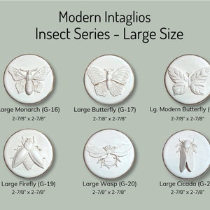 Gorgeous Insect Intaglios| Unique Gift| DIY Project