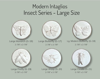 Insect Intaglios: Nature Inspired DIY Project