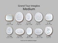 Medium Grand Tour Intaglio| Plaster Seals| medallion wall art| gold leaf intaglio| Unique gift