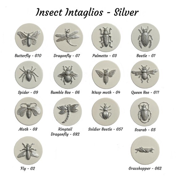 Giant Cicada Collection Real Framed - Insect Taxidermy Display