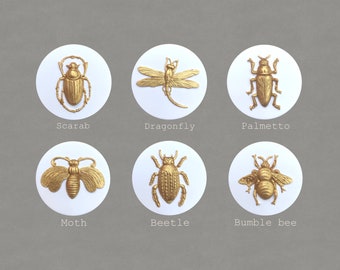 Modern Insect Grand Tour Intaglio - Etsy UK Modern Insect Grand Tour Intaglio - Etsy UK