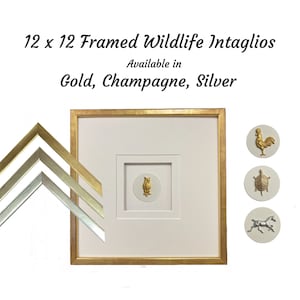 12 x 12 Framed Wildlife Intaglios