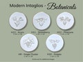 Botanical Intaglios: Flower, Acorn, Strawberry, Grape and Pinecone