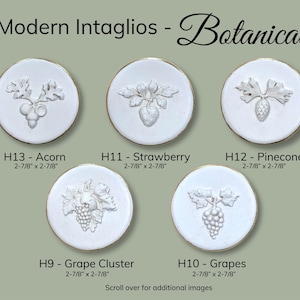 May include: Five white ceramic round stamp designs with gold trim, each featuring a different botanical illustration. The designs are labeled with the names "H13 - Acorn", "H11 - Strawberry", "H12 - Pinecone", "H9 - Grape Cluster", and "H10 - Grapes". Each design measures 2-7/8 inches in diameter.