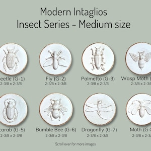 Handcrafted Insect Intaglios: DIY Art Project