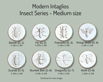 Handcrafted Insect Intaglios: DIY Art Project