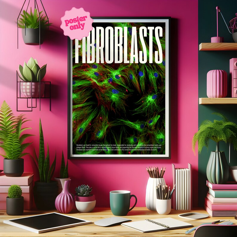 Fibroblasts Cell Microscopy Print, Vibrant Biology Poster for Home Offices and Schools Thought-Provoking, High Res, Confocal Image image 5
