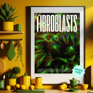 Fibroblasts Cell Microscopy Print, Vibrant Biology Poster for Home Offices and Schools Thought-Provoking, High Res, Confocal Image image 4