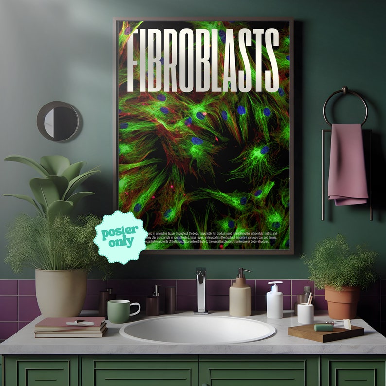 Fibroblasts Cell Microscopy Print, Vibrant Biology Poster for Home Offices and Schools Thought-Provoking, High Res, Confocal Image image 3