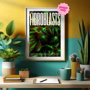 Fibroblasts Cell Microscopy Print, Vibrant Biology Poster for Home Offices and Schools Thought-Provoking, High Res, Confocal Image image 7