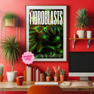 Fibroblasts Cell Microscopy Print, Vibrant Biology Poster for Home Offices and Schools Thought-Provoking, High Res, Confocal Image image 6