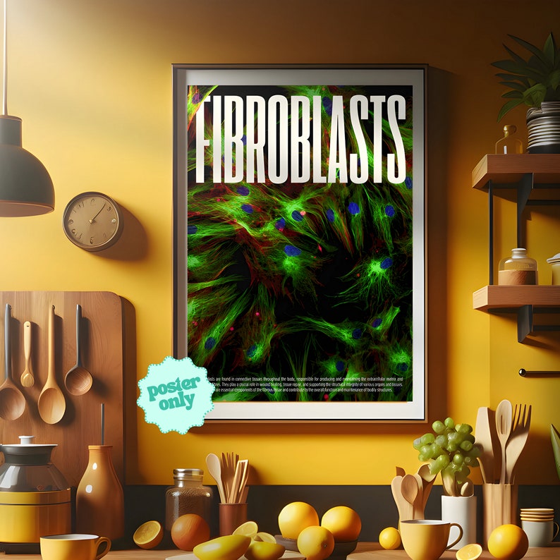 Fibroblasts Cell Microscopy Print, Vibrant Biology Poster for Home Offices and Schools Thought-Provoking, High Res, Confocal Image image 1