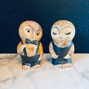 Może przedstawiać: Dwie ceramiczne figurki sów, jedna w krawacie i szelkach, druga w sukience i fartuchu. Obie sowy mają brązowe i białe detale malowane i czarne oczy.