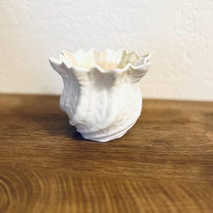 May include: A small, white ceramic vase with a seashell-like design. The vase has a ruffled top and a textured, swirling pattern on its exterior. It sits on a wooden surface, with a neutral background.