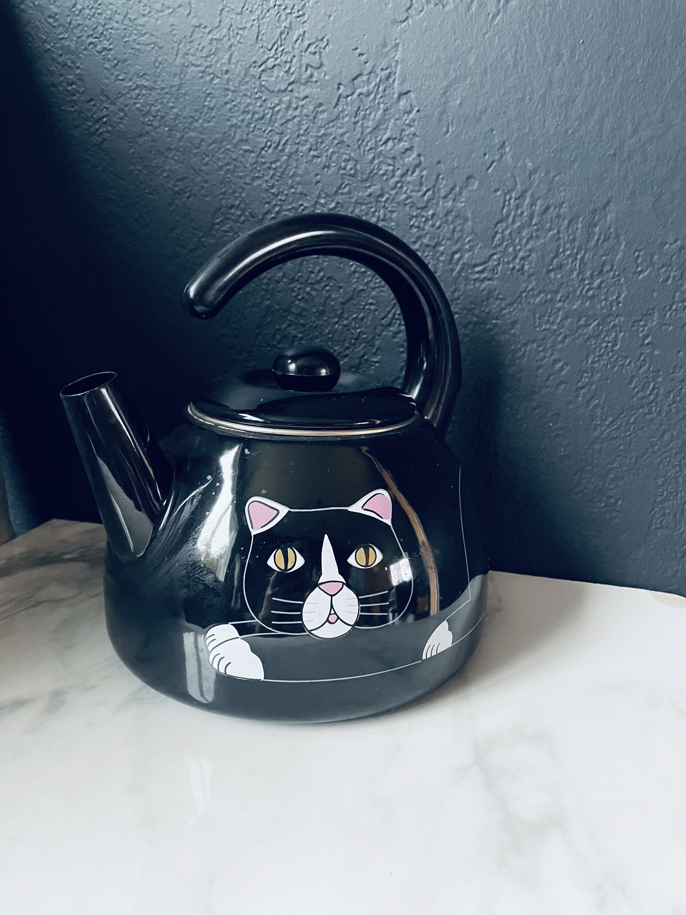 Vintage Kamenstein Metal Black Cat Tea Kettle With No Whistle