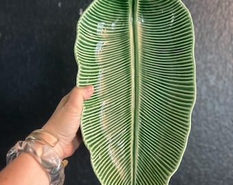 Bordallo Pinheiro Banan Leaf Dish Dish Green Bowl Tray Platter Portugal 14 ”