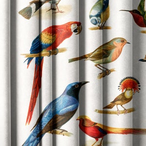 Vintage birds - space upholystery velvet fabric heavy weight