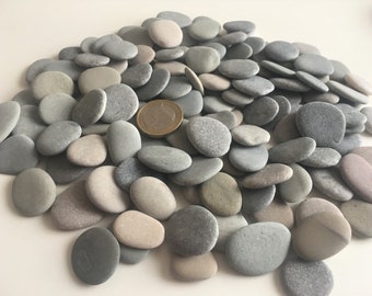 100 Baltic Sea Stones: Natural Beach Pebbles (0.6-1.0")