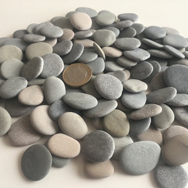 100 petites pierres naturelles de plage Pierres de mer belles galets de mer en forme Taille « 0,8-1,2 » # fournitures d'art, décoration, etc. (ak4)