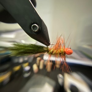 Può includere: Primo piano di un'esca da pesca a mosca con una testa di perline rosse, corpo dorato e piume verdi e marroni.