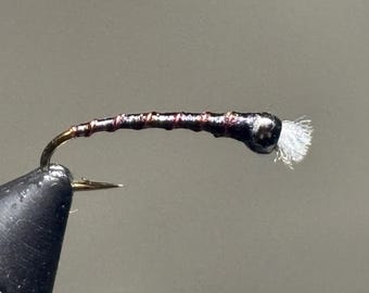 Black and Red chironomid