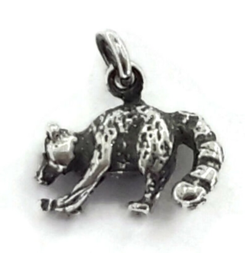 Charm Pendant .925 Sterling Silver. Mapache Racoon