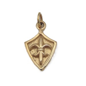 Pode incluir: Um pingente dourado com um design de flor-de-lis dentro de um escudo. O pingente tem uma pequena argola na parte superior para prender a uma corrente. O fundo é branco liso.