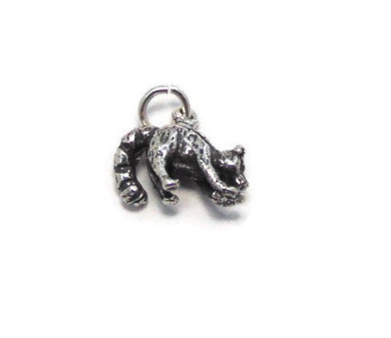 Charm Pendant .925 Sterling Silver. Mapache Racoon