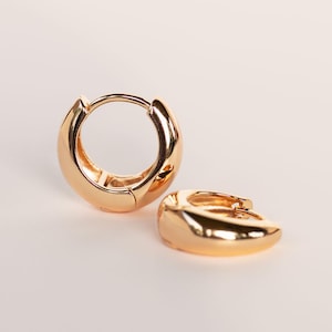 Champagne Rose Gold Hoop Earrings: Stainless Steel Chunky Huggie hoops Jewelry Gift, 10mm and 13mm internal diameter