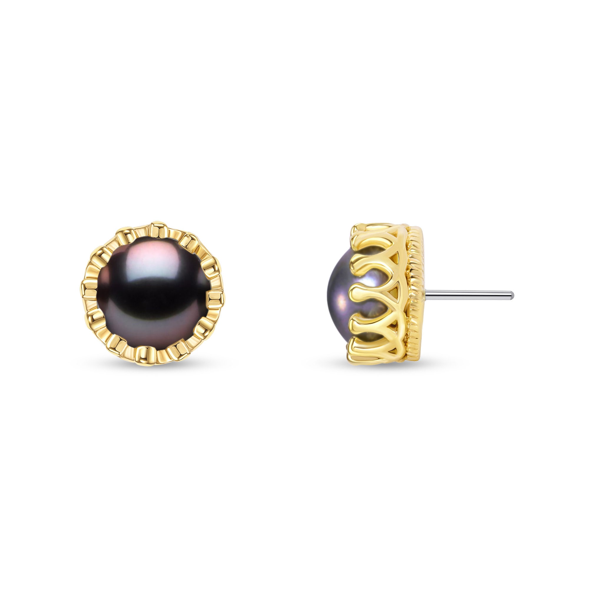14k Solid Yellow Rose White Gold Crown Stud with Black Pearl Stud, Piercing, Body Jewelry 25g threadless, 14g or 16g Threaded pins
