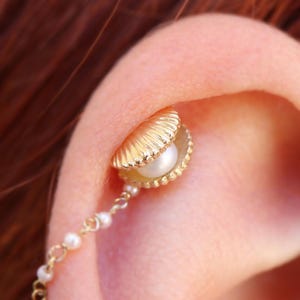 14k Solid Yellow Rose White Gold Shell Stud with Genuine Pearl Stud, Piercing, Body Jewelry  25g threadless, 14g or 16g Threaded pins
