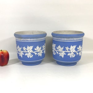 Puede incluir: Dos macetas de cerámica azul y blanca con un diseño de hiedra blanca.