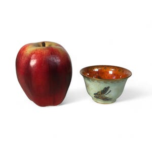 May include: A small, teal ceramic bowl with a dragonfly design and a copper glaze. The bowl is sitting on a white surface next to a red apple.