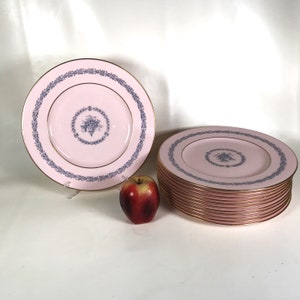 Set von 6 Wedgwood Alpine Pink 25 cm Speiseteller