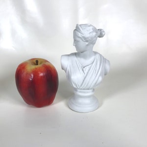 Antique Parianware Library Bust of Roman Figure