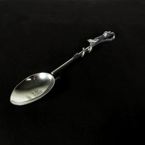 Può includere: Un cucchiaio d'argento con un manico a forma di serpente. Il cucchiaio ha un design decorativo sulla ciotola e le parole "1901" incise sul retro.