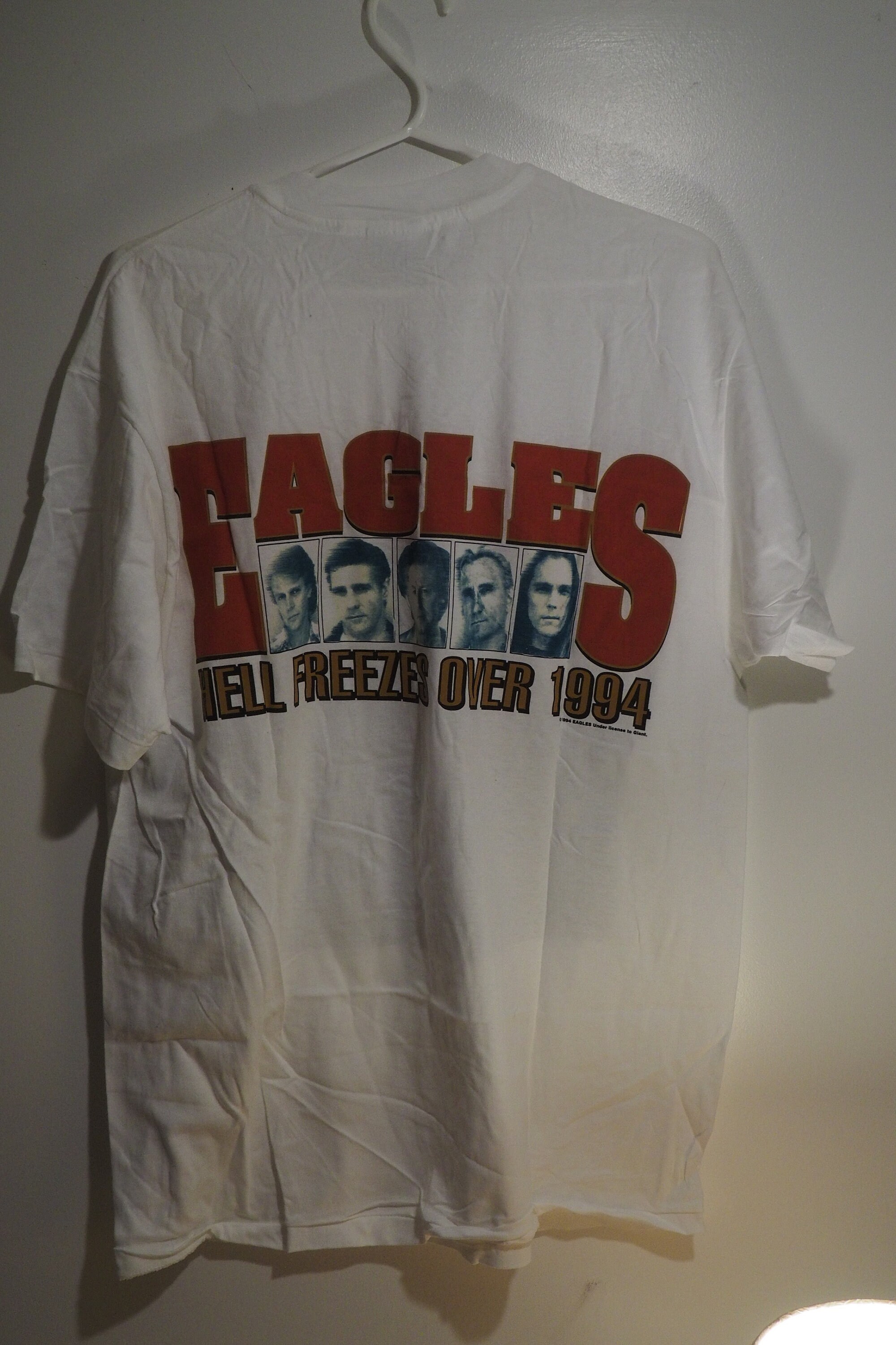 The Eagles Hotel California 1994 Hell Freezes Over 1995 Concert T