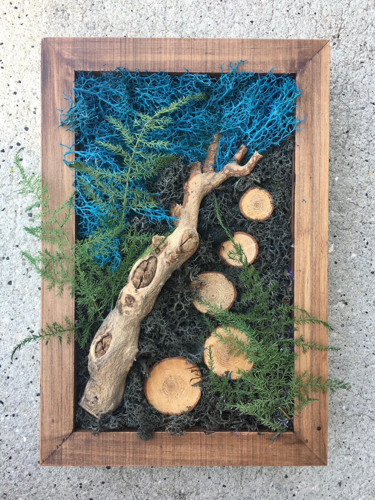Moss Art Etsy